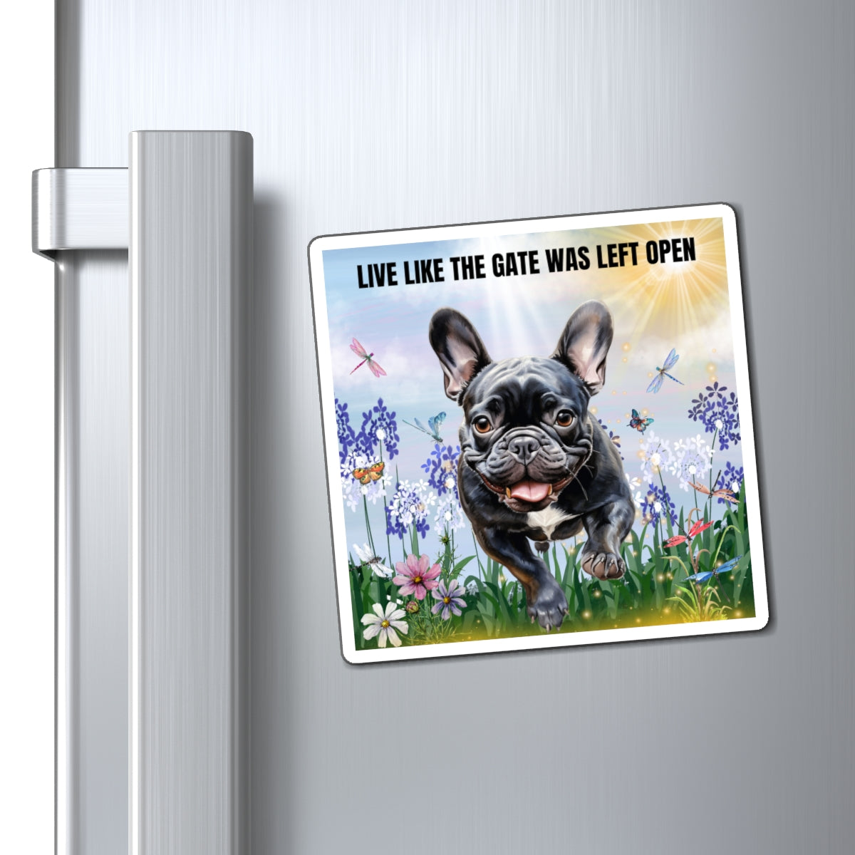 Magnets Live Like The Gate Was Left Open