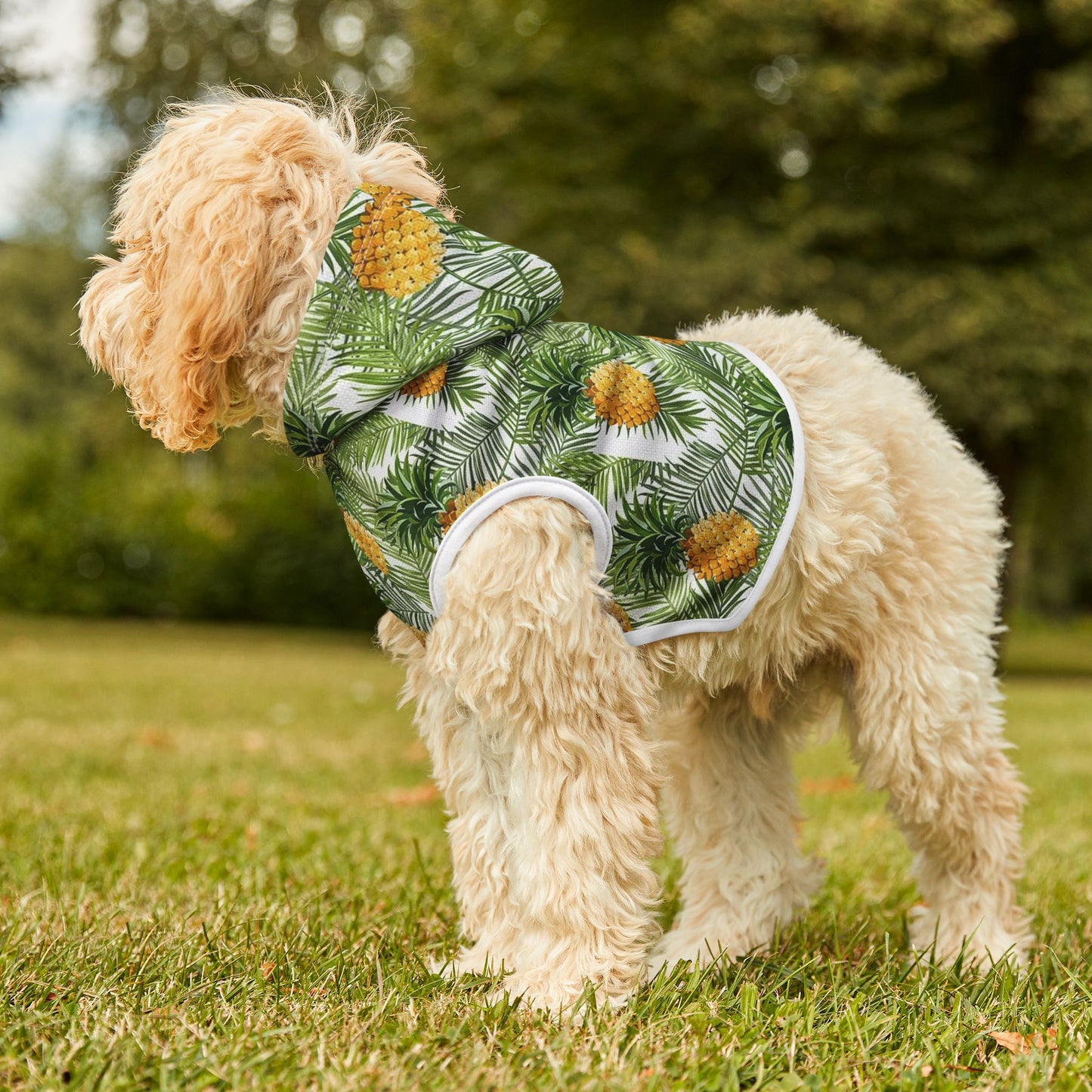 dog jackets, Dog Coats & Jackets