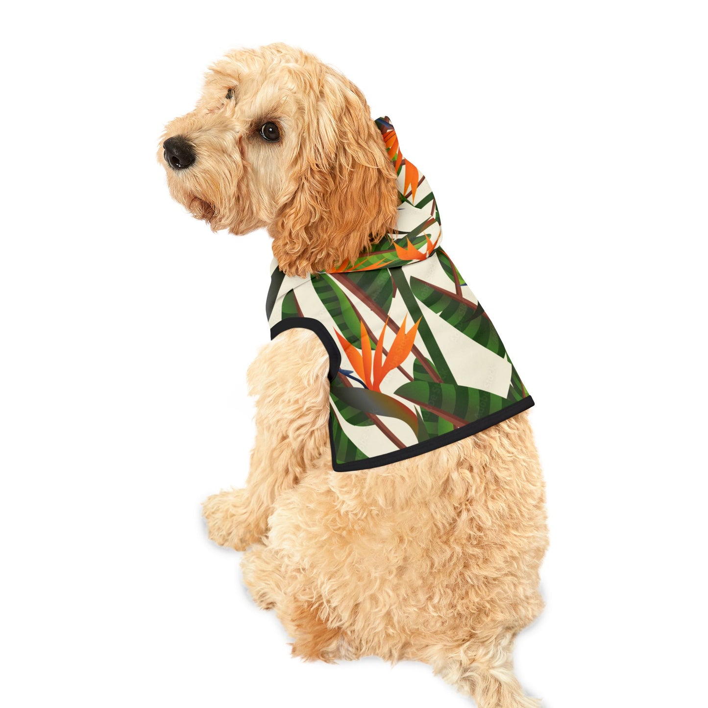 Pet Hoodie Bird Of Paradise