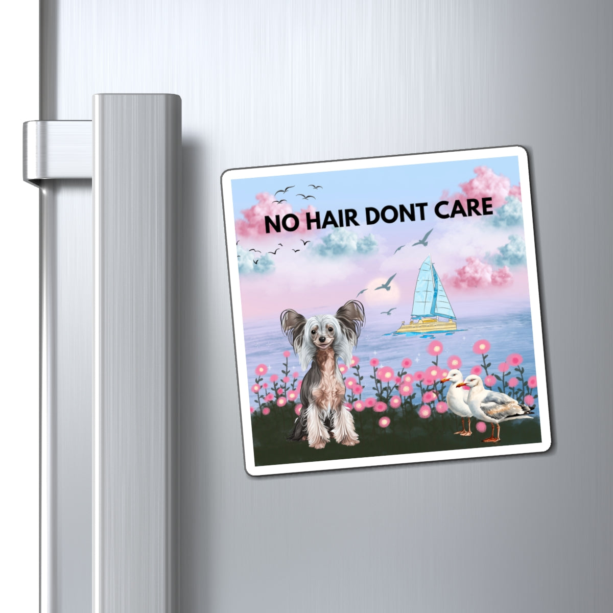 Magnets No Hair Don't Care