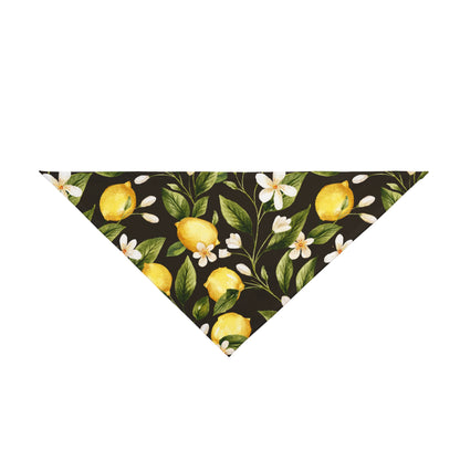 Pet Bandana Lemons 2