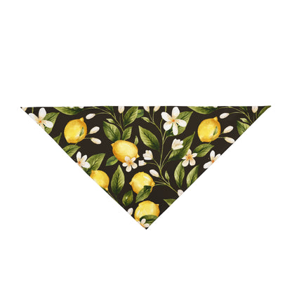 Pet Bandana Lemons 2