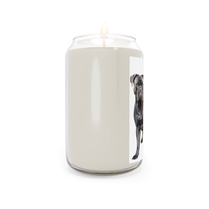 Cane Corso Scented Candle, 13.75oz