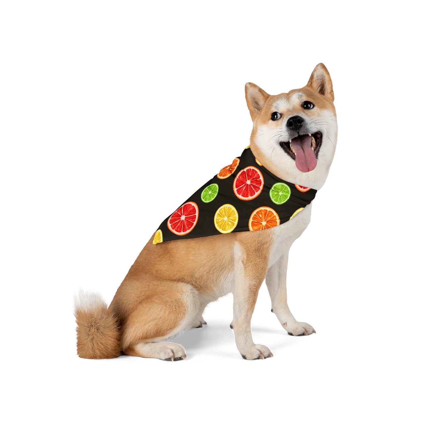 Pet Bandana Citrus