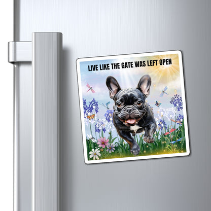 Magnets Live Like The Gate Was Left Open