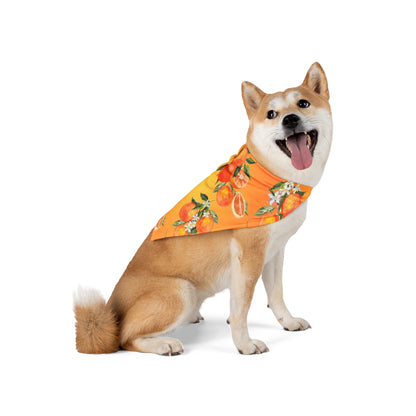 Pet Bandana Oranges 2