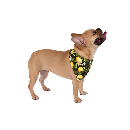 Pet Bandana Lemons 2