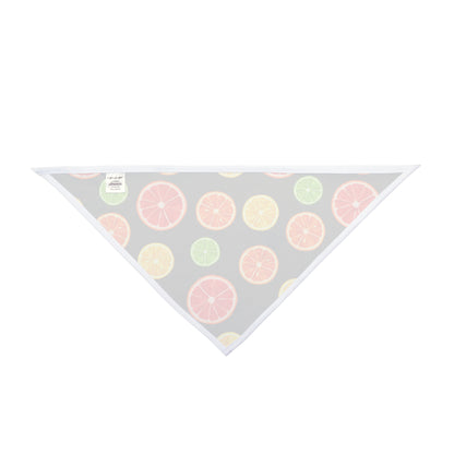 Pet Bandana Citrus