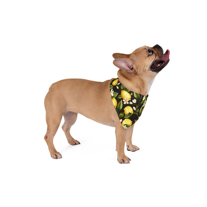 Pet Bandana Lemons 2