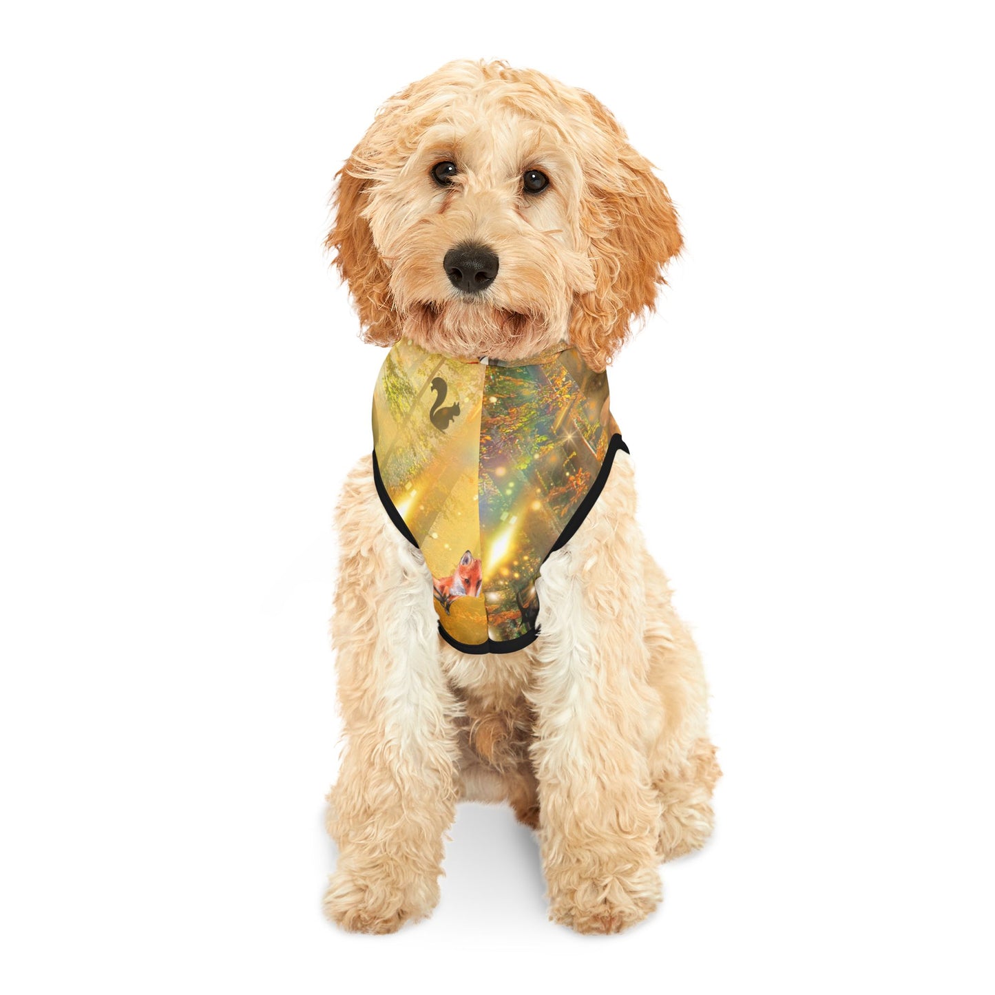 Take A Hike Pet Hoodie