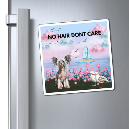 Magnets No Hair Don't Care