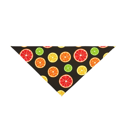 Pet Bandana Citrus