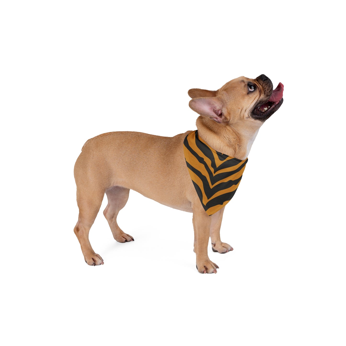 Pet Bandana Tiger 2