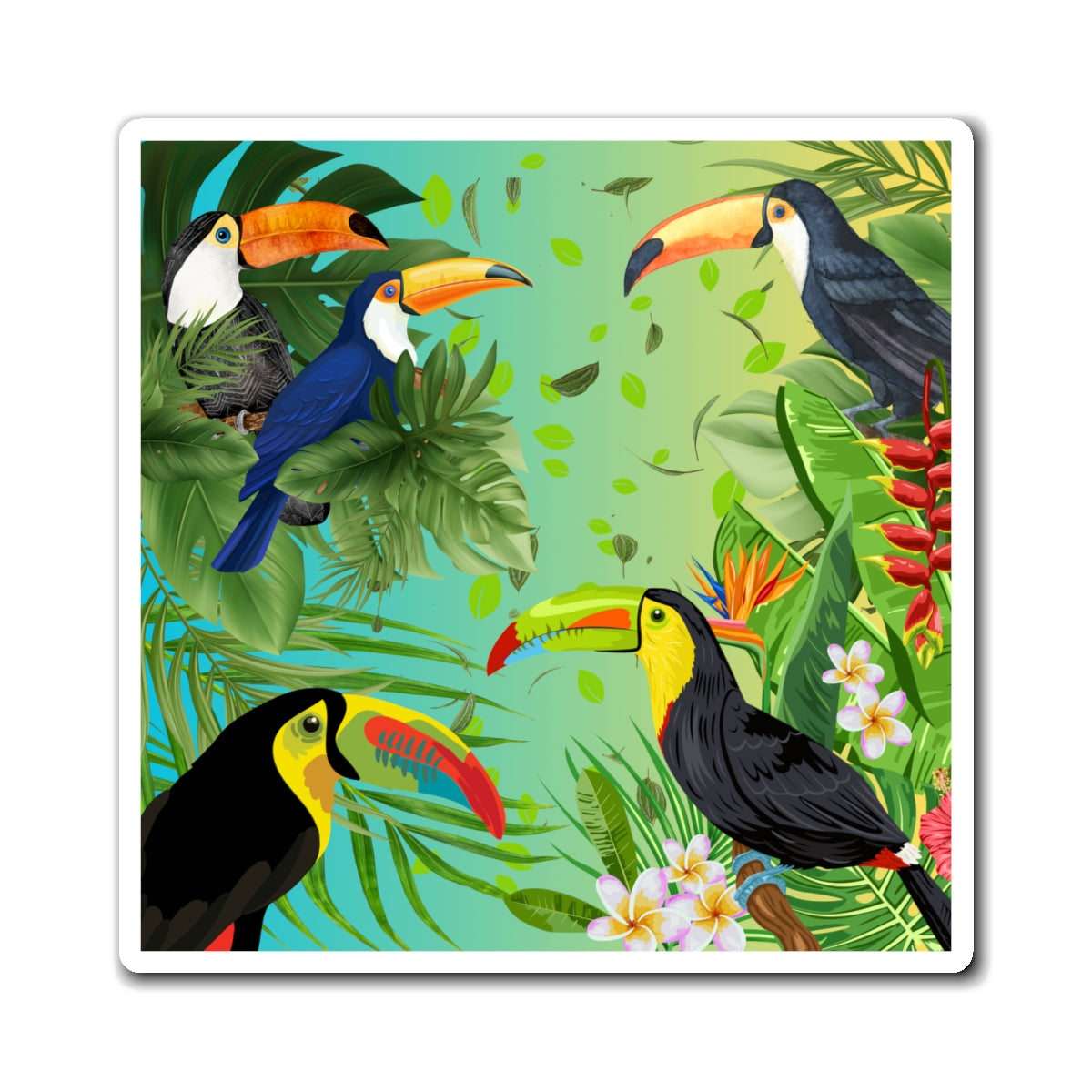 Toucans Magnets