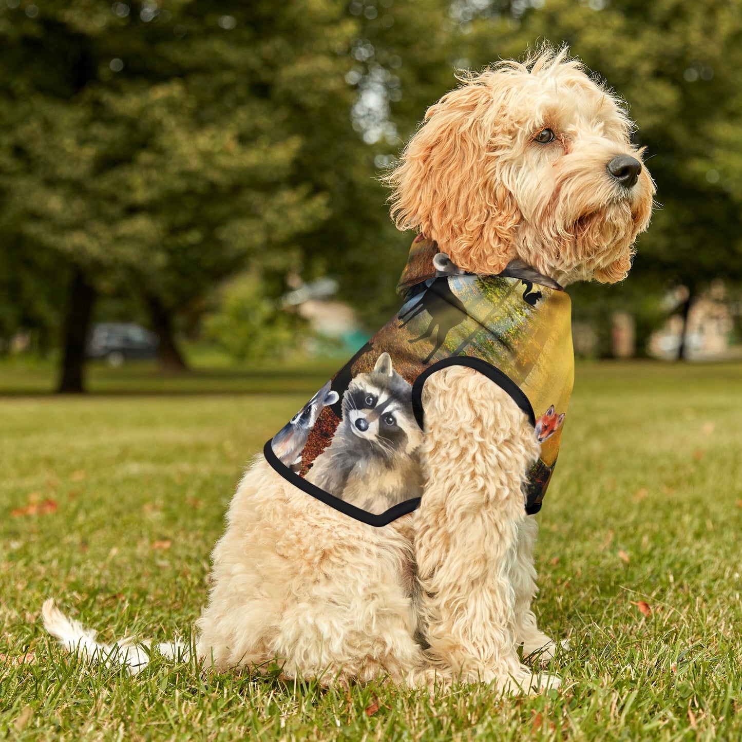 Take A Hike Pet Hoodie