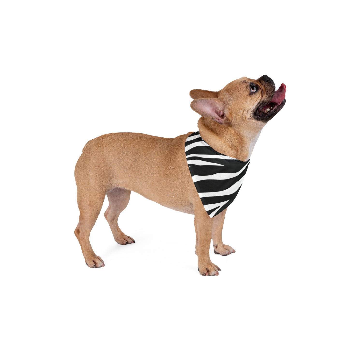 Pet Bandana Zebra Black