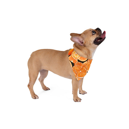 Pet Bandana Oranges