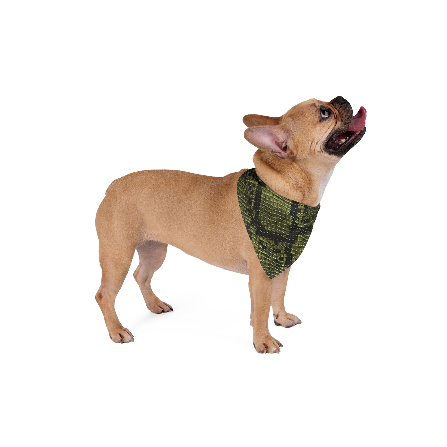 Pet Bandana Python Green