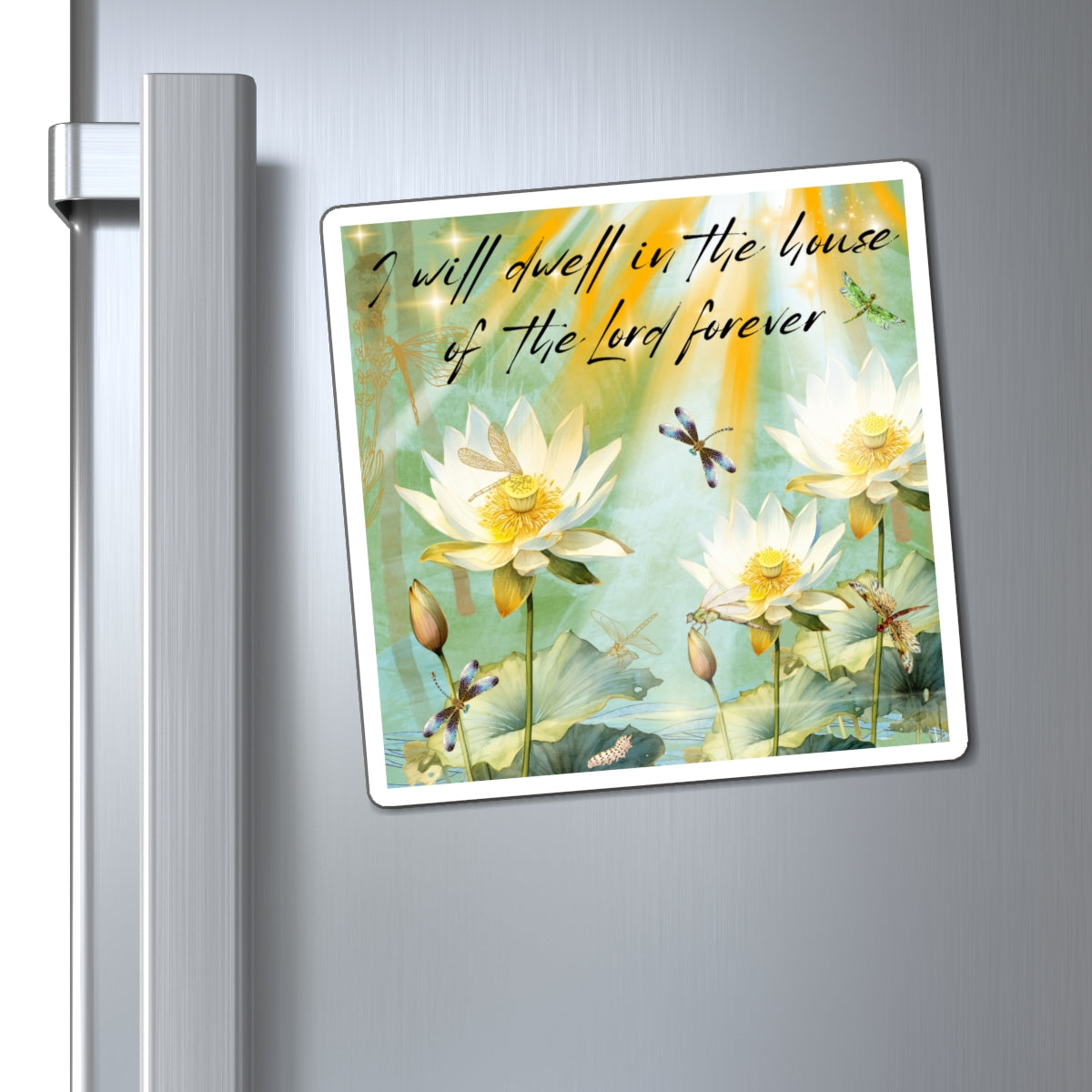 Magnets I WiIl Dwell