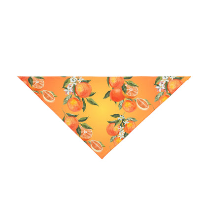 Pet Bandana Oranges 2