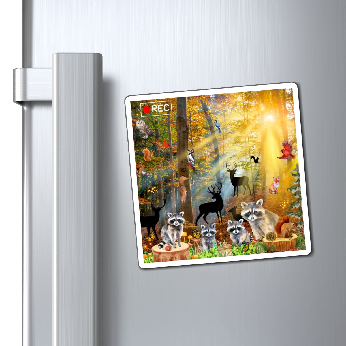 Take A Hike Magnets