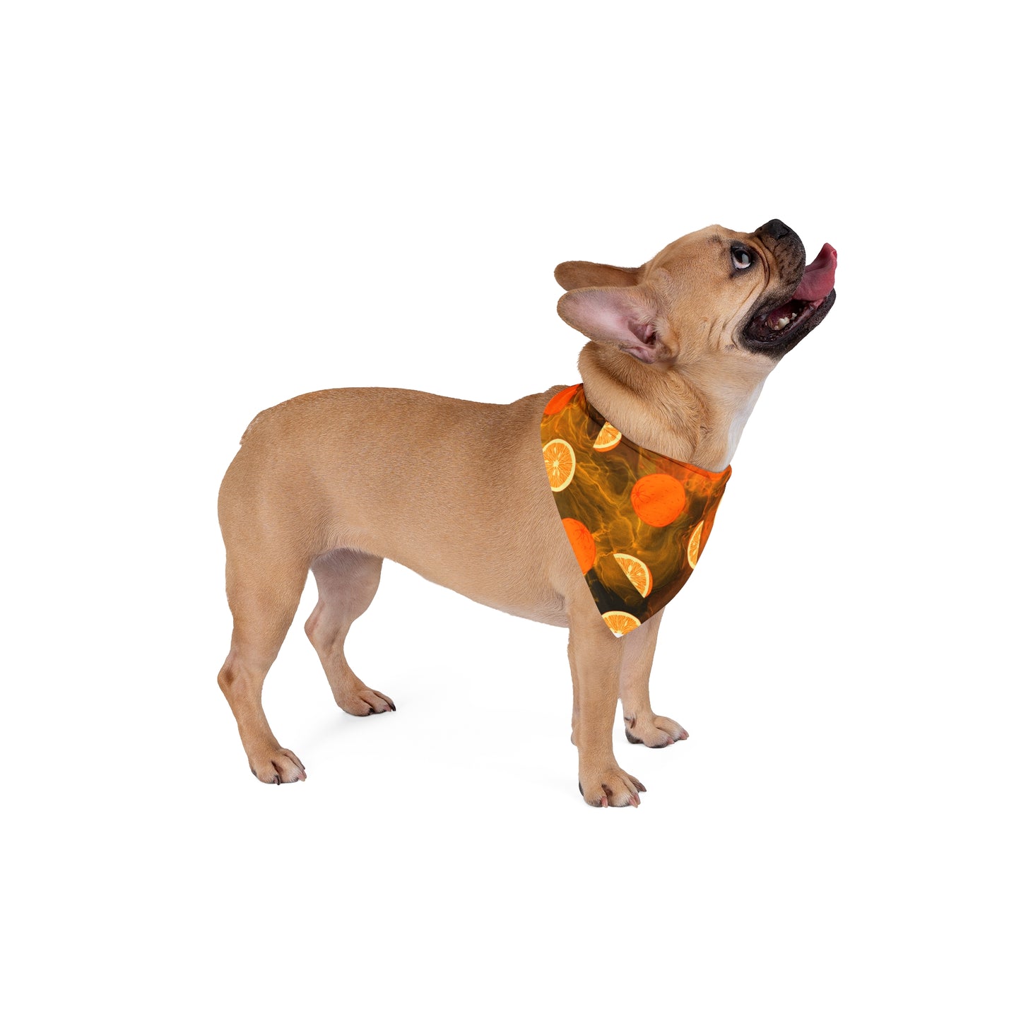 Pet Bandana Oranges 3