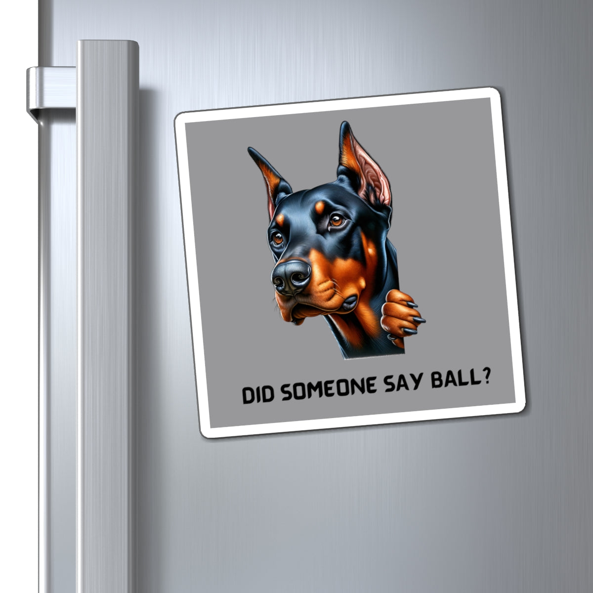 Magnets Did Someone Say Ball