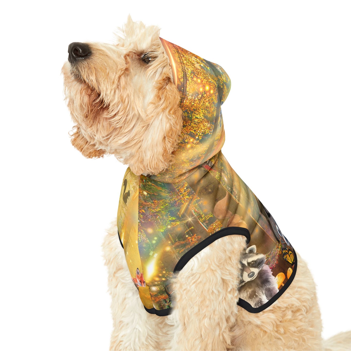 Take A Hike Pet Hoodie