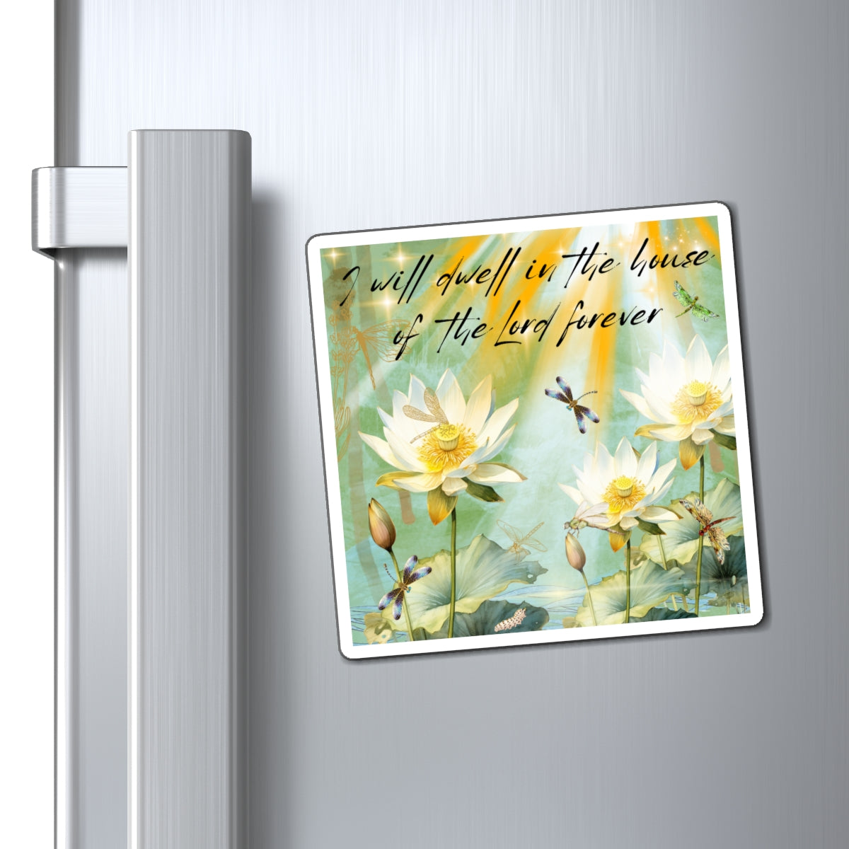 Magnets I WiIl Dwell