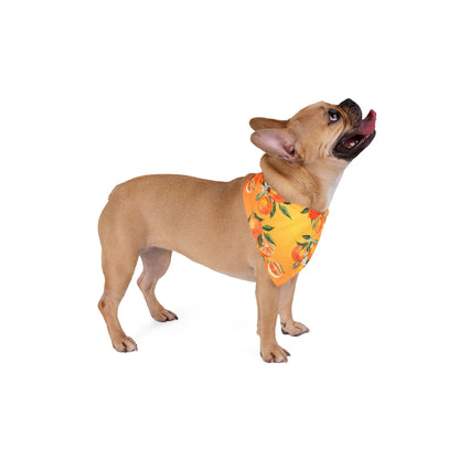 Pet Bandana Oranges 2