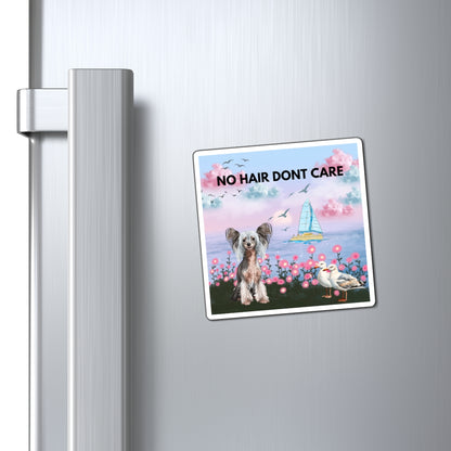 Magnets No Hair Don't Care