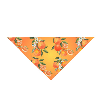 Pet Bandana Oranges 2