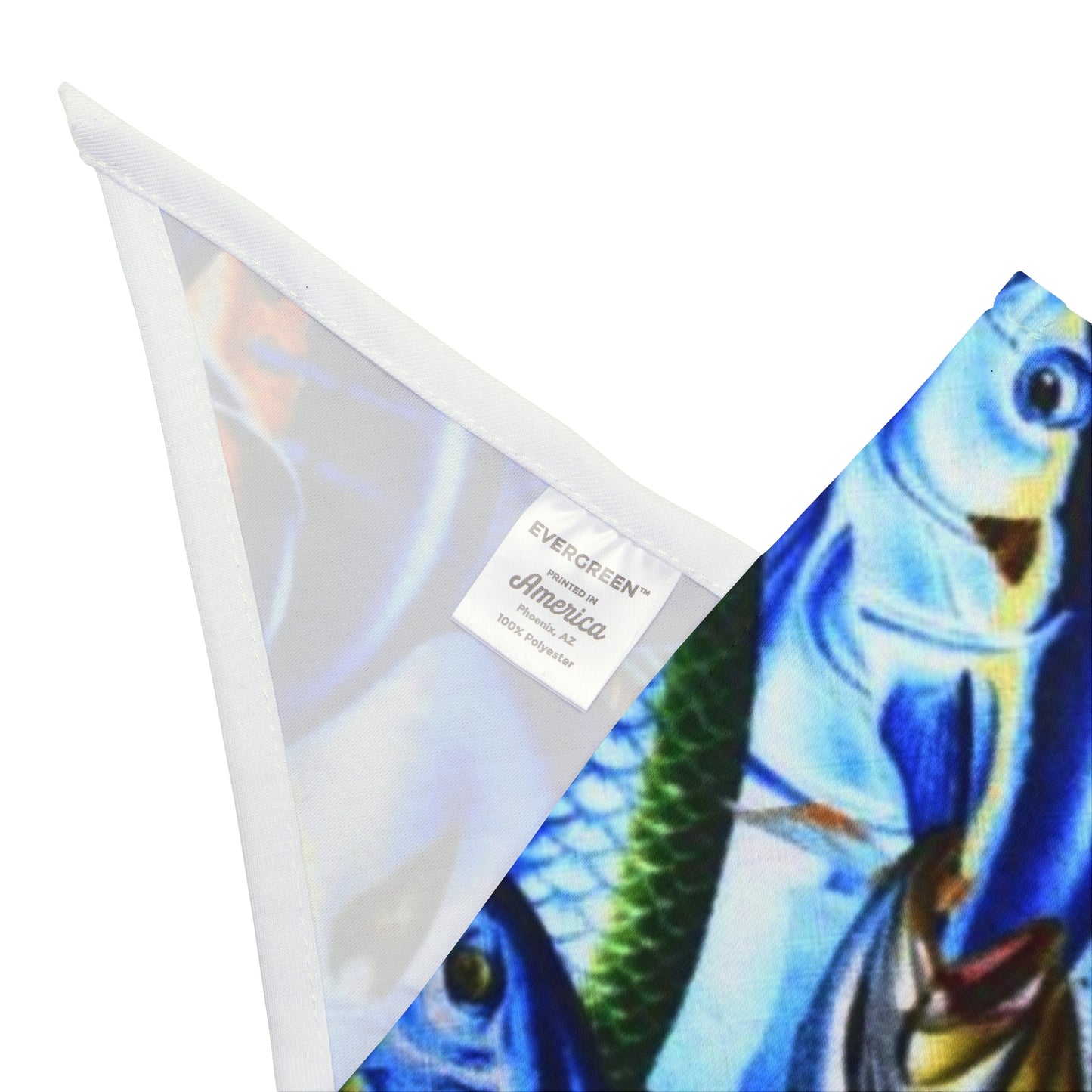 Pet Bandana Fish