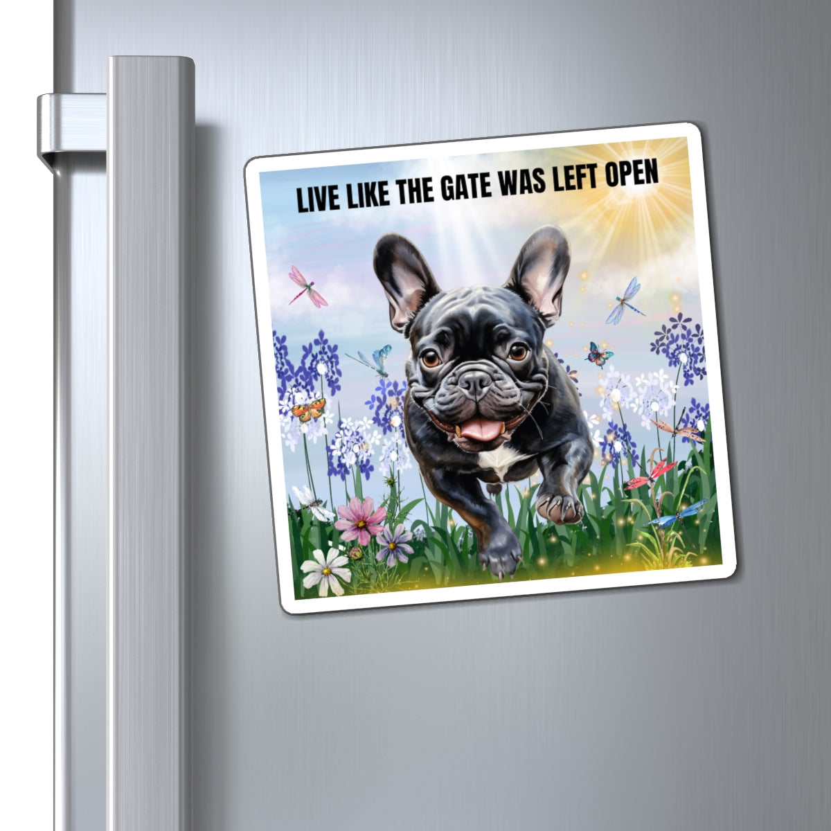 Magnets Live Like The Gate Was Left Open