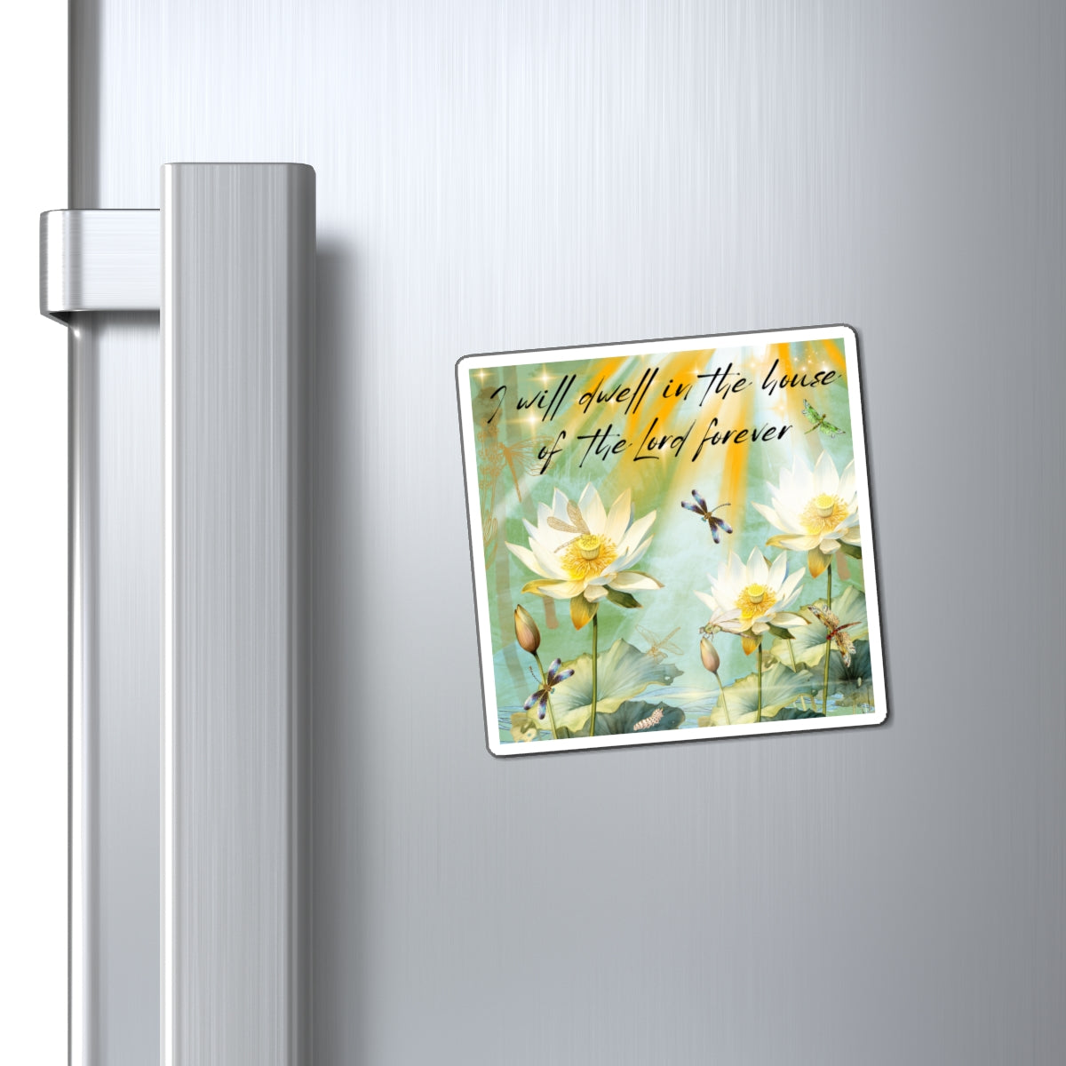 Magnets I WiIl Dwell