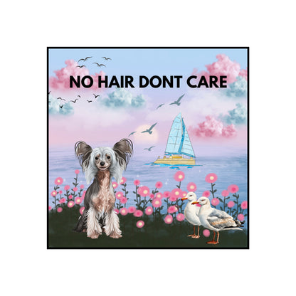 No Hair Don't Care Fine Art Posters