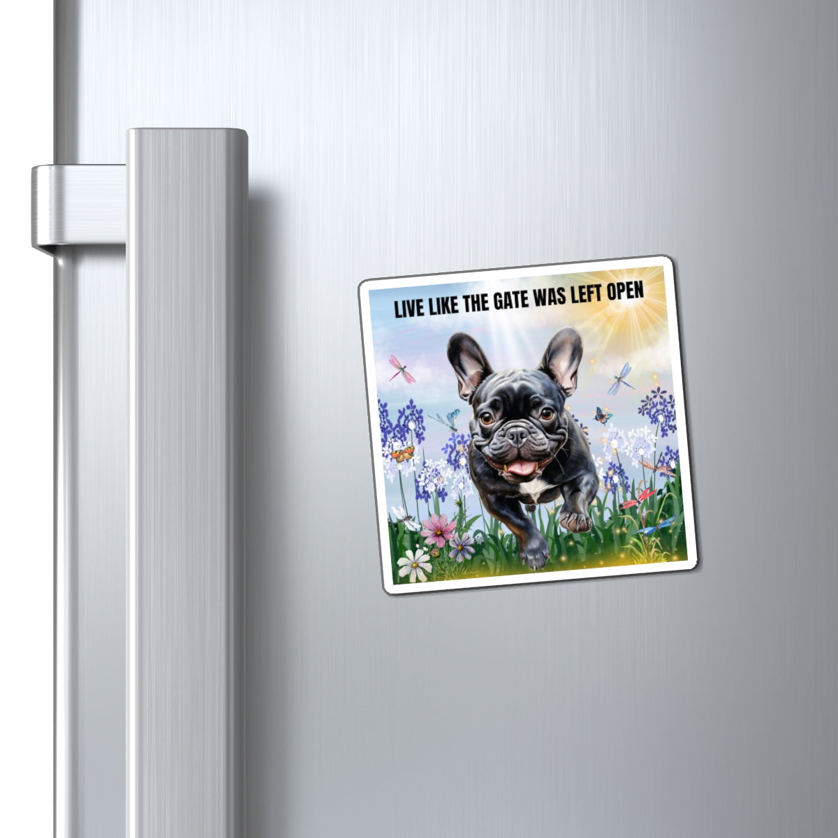 Magnets Live Like The Gate Was Left Open