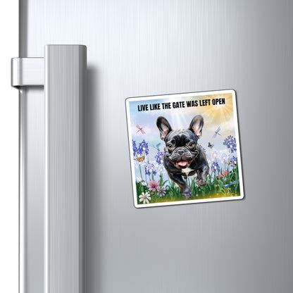 Magnets Live Like The Gate Was Left Open