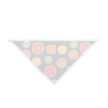 Pet Bandana Citrus